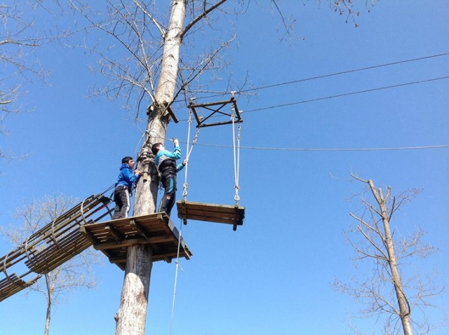  Godetevi le nostre strutture per l'arrampicata sugli alberi 